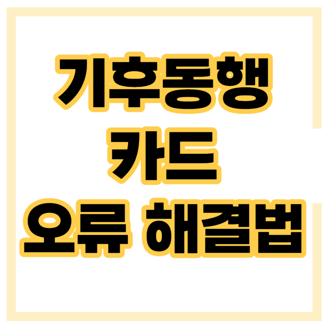 기후동행카드 오류