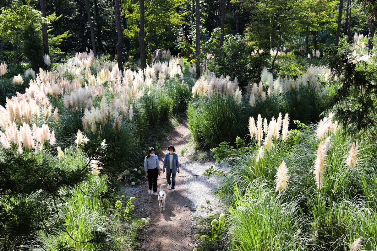 해남 가볼만한곳 - 포레스트수목원