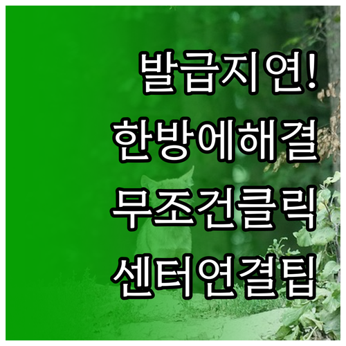 모두의카드 발급 지연 시 해결 방법과..