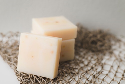 리스테리아 식중독