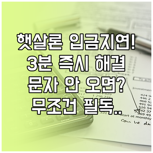 2026 햇살론 대출 실행 문자 지연..