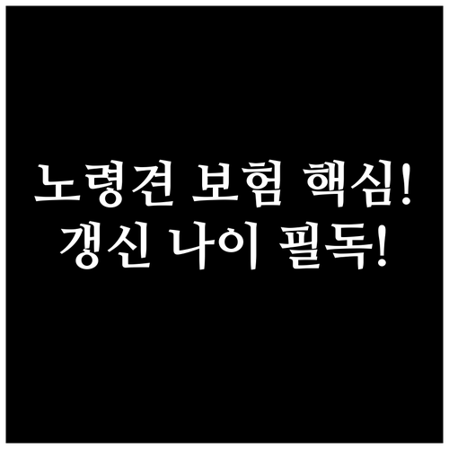 노령견 장기 보장을 위한 펫보험 선택..