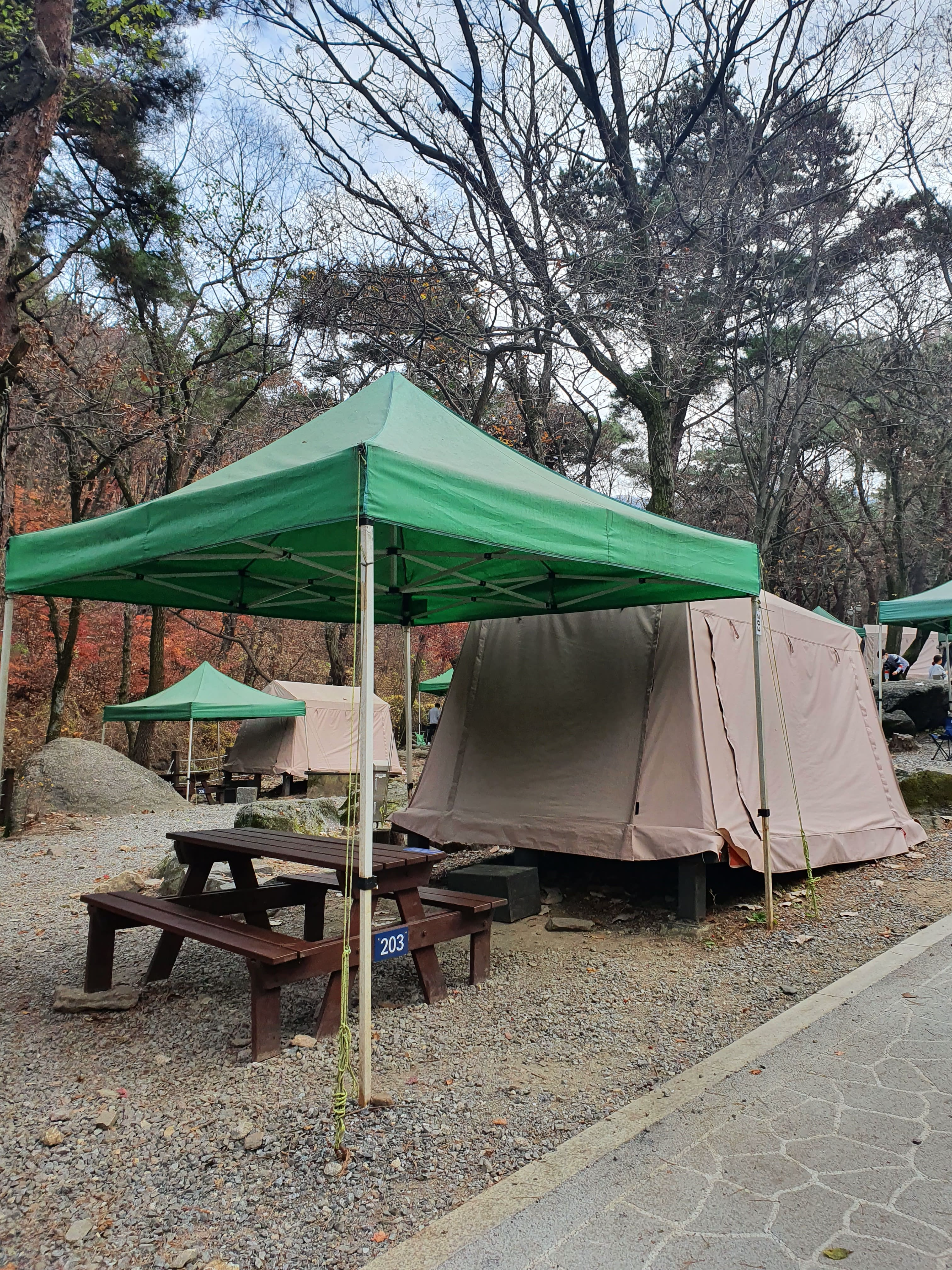서울대공원 캠핑장