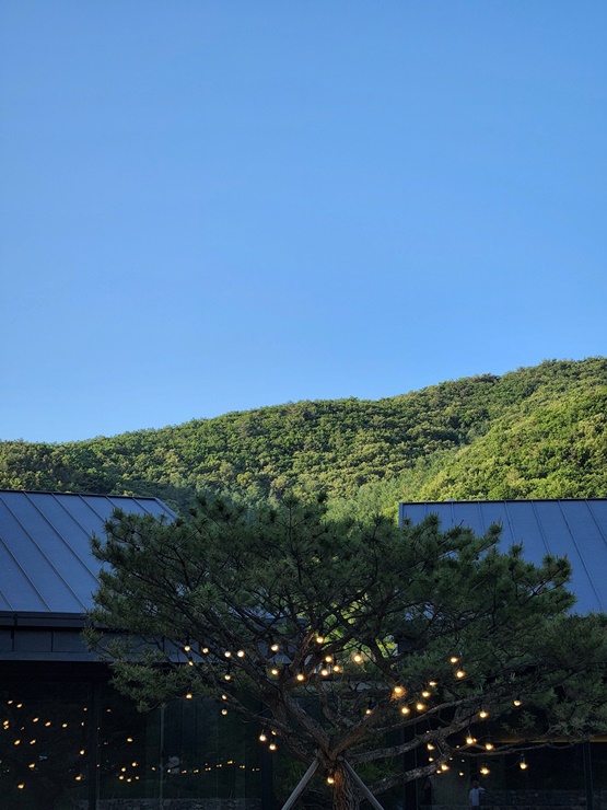 묵리 외부 산 전경