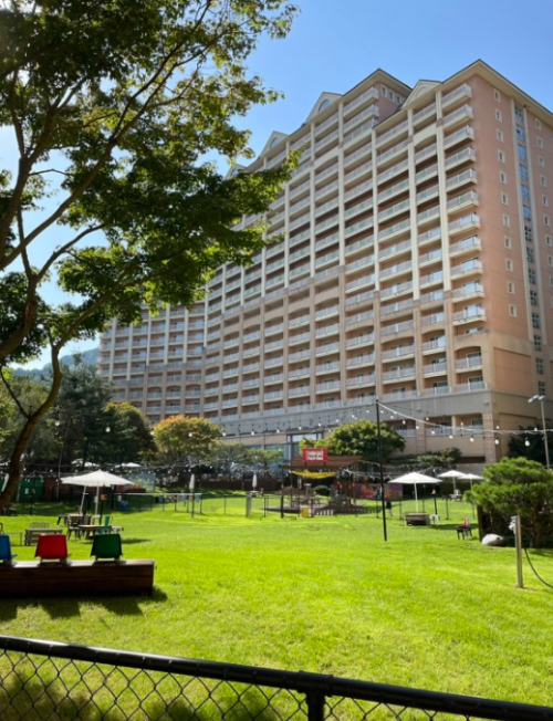 강아지 동반 여행지 추천