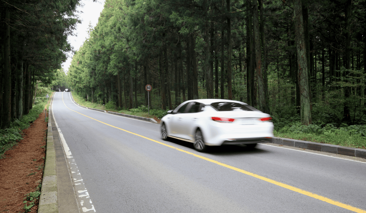 제주_렌트카_비교사이트_8