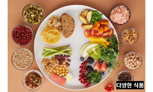 다양한 식품들