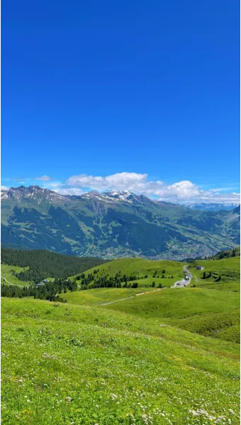 스위스 융프라우 37번 하이킹 코스 후기 아이거글래처에서 클라이네샤이덱까지 걷기로 기록_6