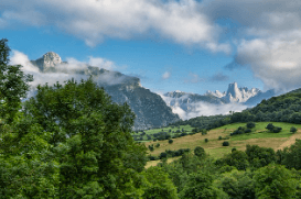 한라산-백록샘-개방-및-사전예약
