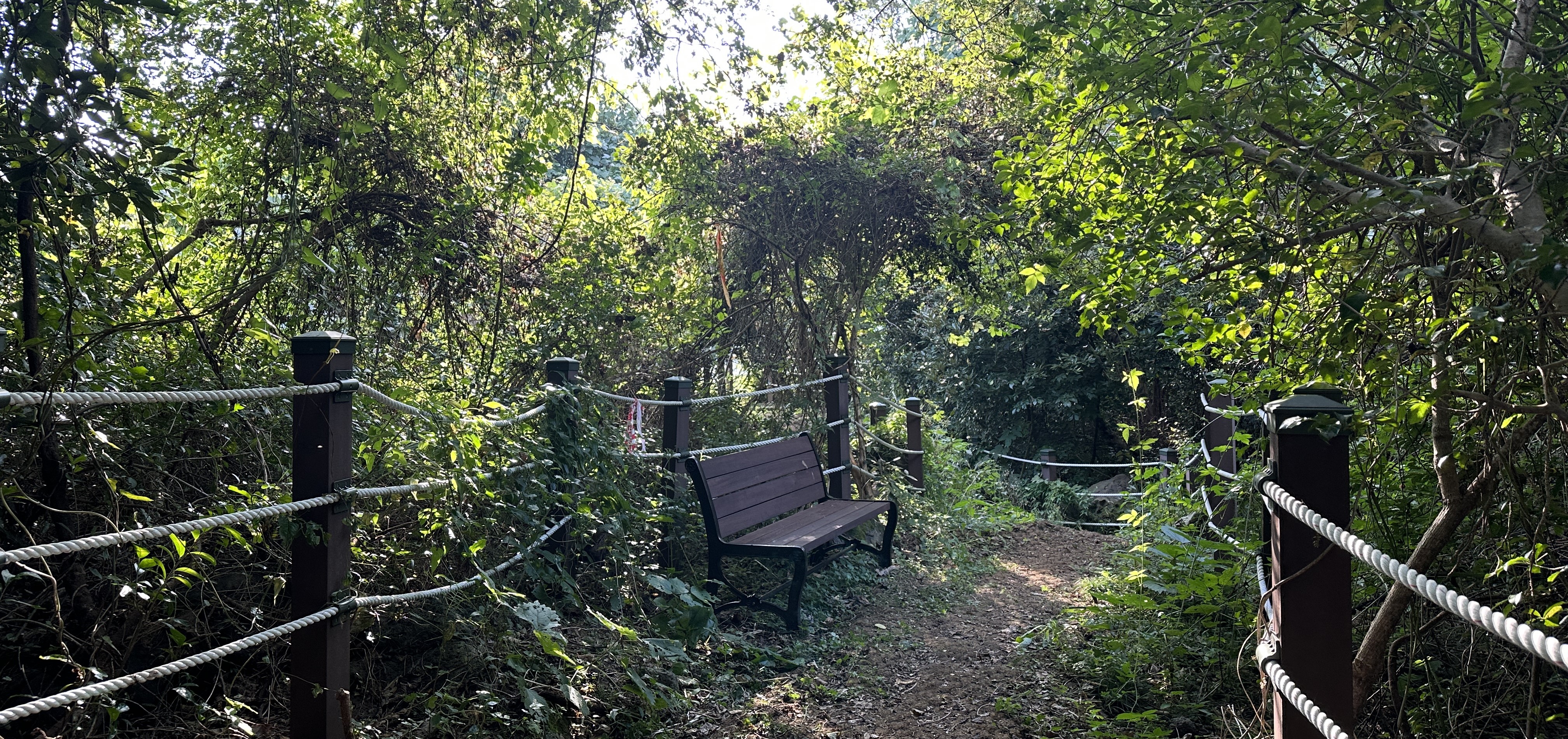 송당곶자왈 산책로