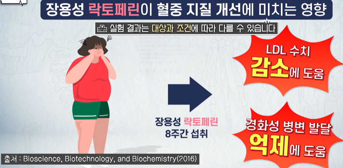락토페린 효능
