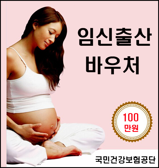 임신출산 바우처 대표이미지