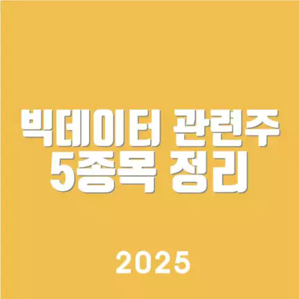 빅데이터 관련주 5종목 정리