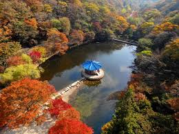 아이와 가을여행