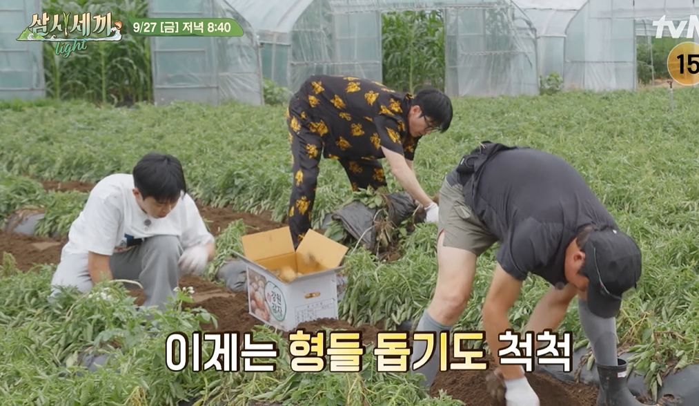 삼시세끼 어촌편 시즌6 임영웅