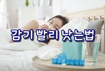 콧물 감기 빨리 낫는법