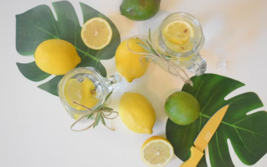 홀베리 유기농 레몬즙 가격 먹는법 후기