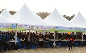 연천율무축제 행사