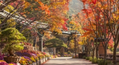 경기도가볼만한곳이미지