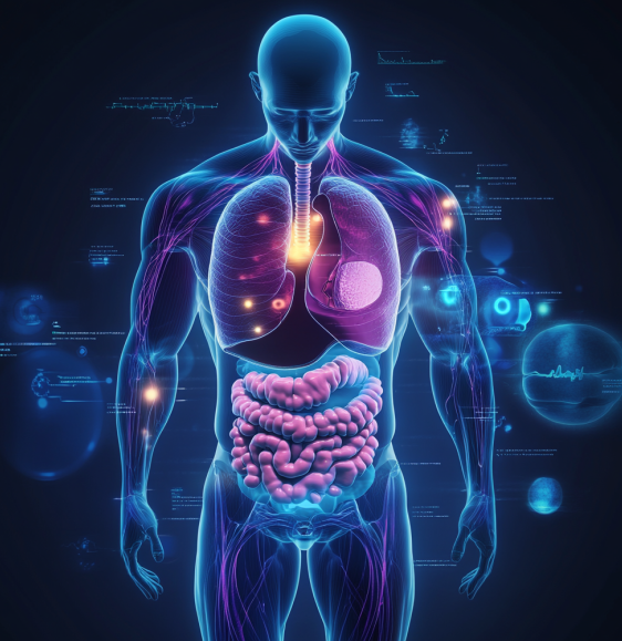 단식과 호르몬 다이어트 호르몬 렙틴, 그렐린