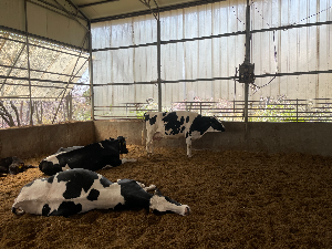 아그로랜드 체험목장