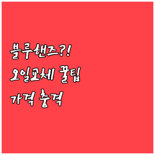 블루핸즈 엔진오일 교체 주기와 예상 ..