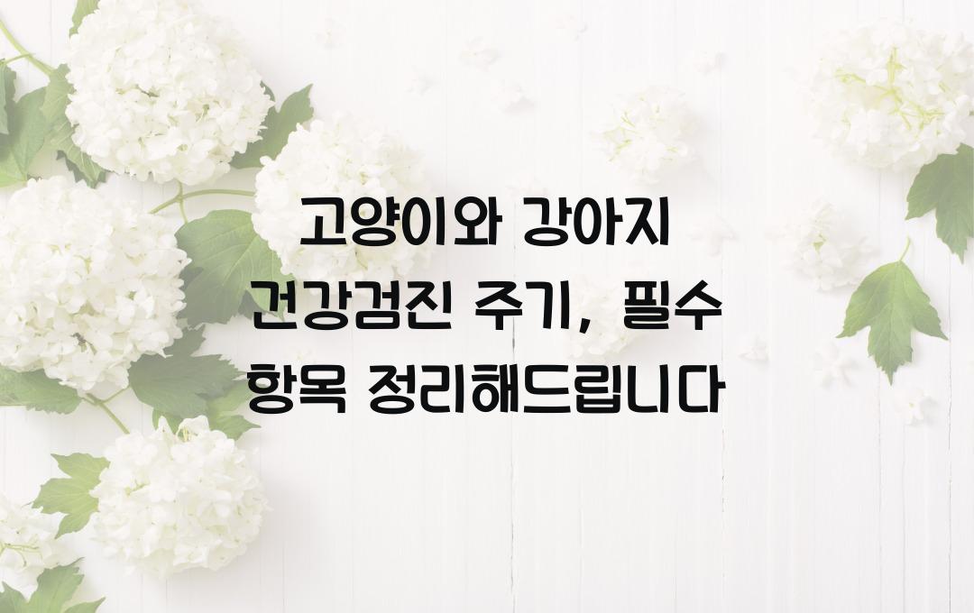 고양이와 강아지 건강검진 주기, 꼭 받아야 하는 항목 정리