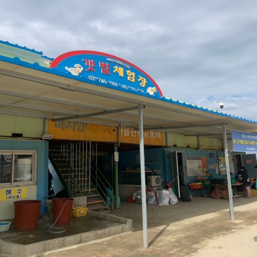 영종도 갯벌체험