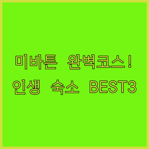 아이슬란드 미바튼 온천 당일치기 코스..