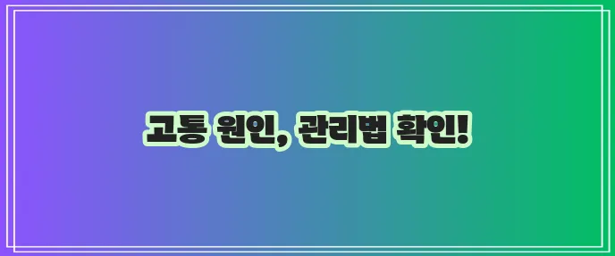 치질 증상 원인과 확실한 치질 관리 방법!