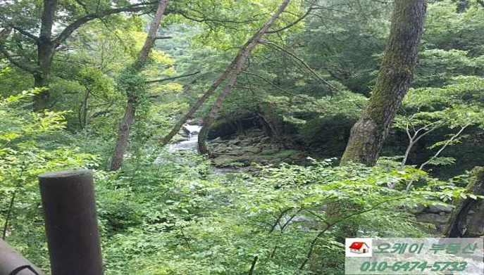 화엄사계곡