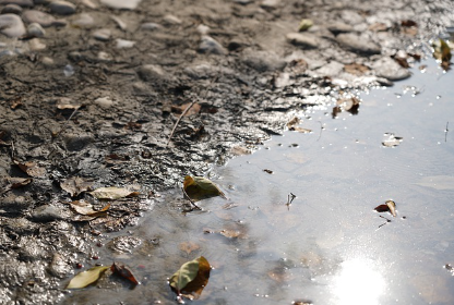 오염된 수질환경