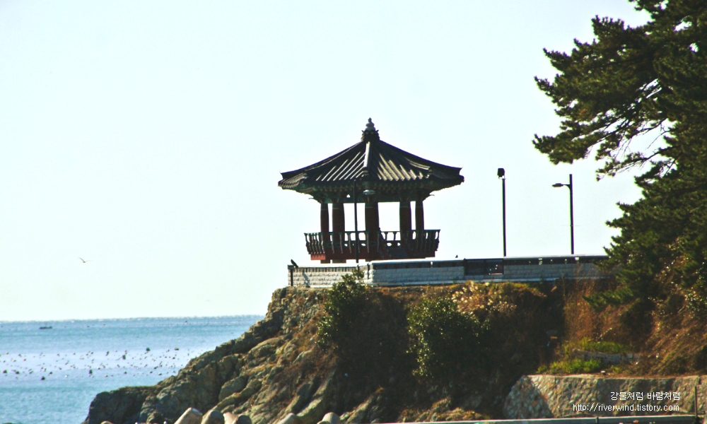 죽도공원 팔각정