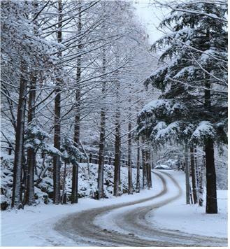 장태산 자연휴양림