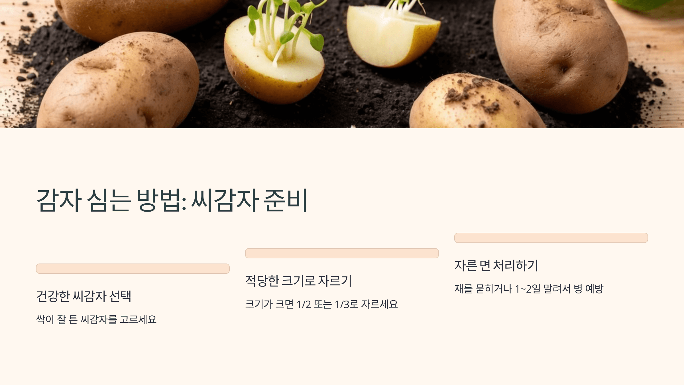 감자 사진입니다.