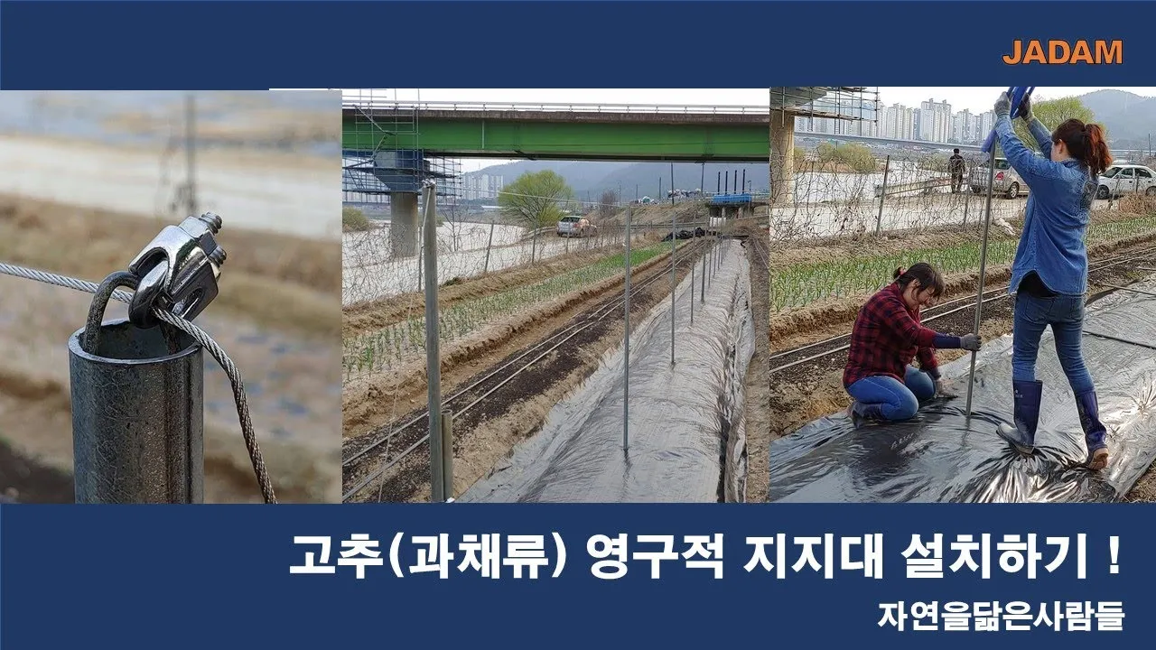 지지대 설치 방법 고추 토마토 참외 수박 쓰러짐 예방_1
