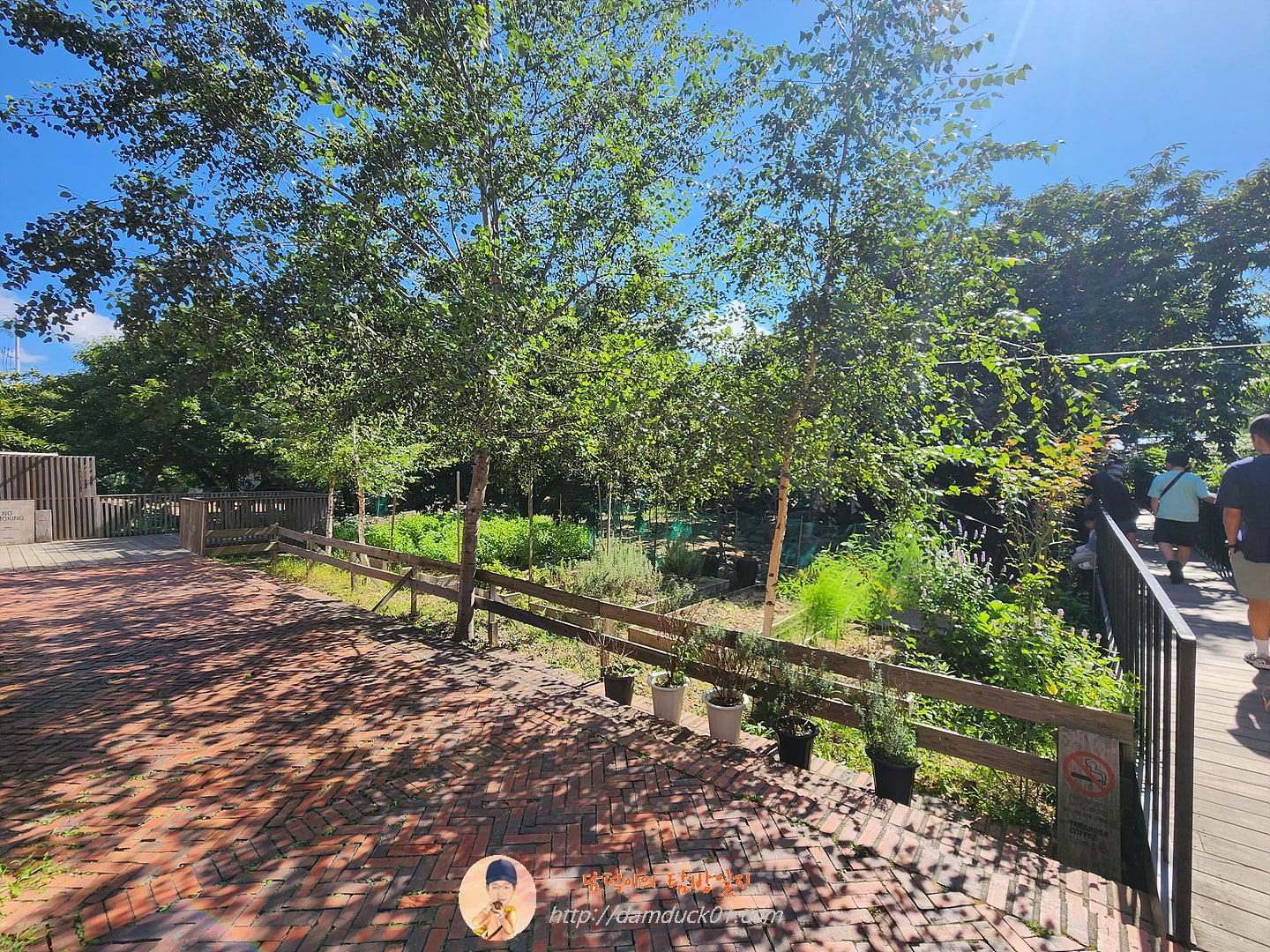 테라로사 커피공장 강릉본점 정원