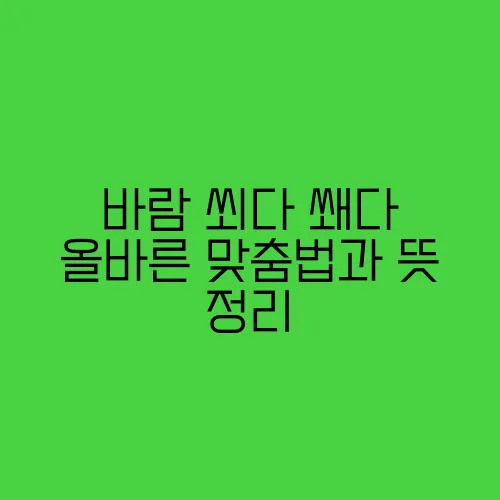 바람 쐬다 쐐다 올바른 맞춤법과 뜻 정리