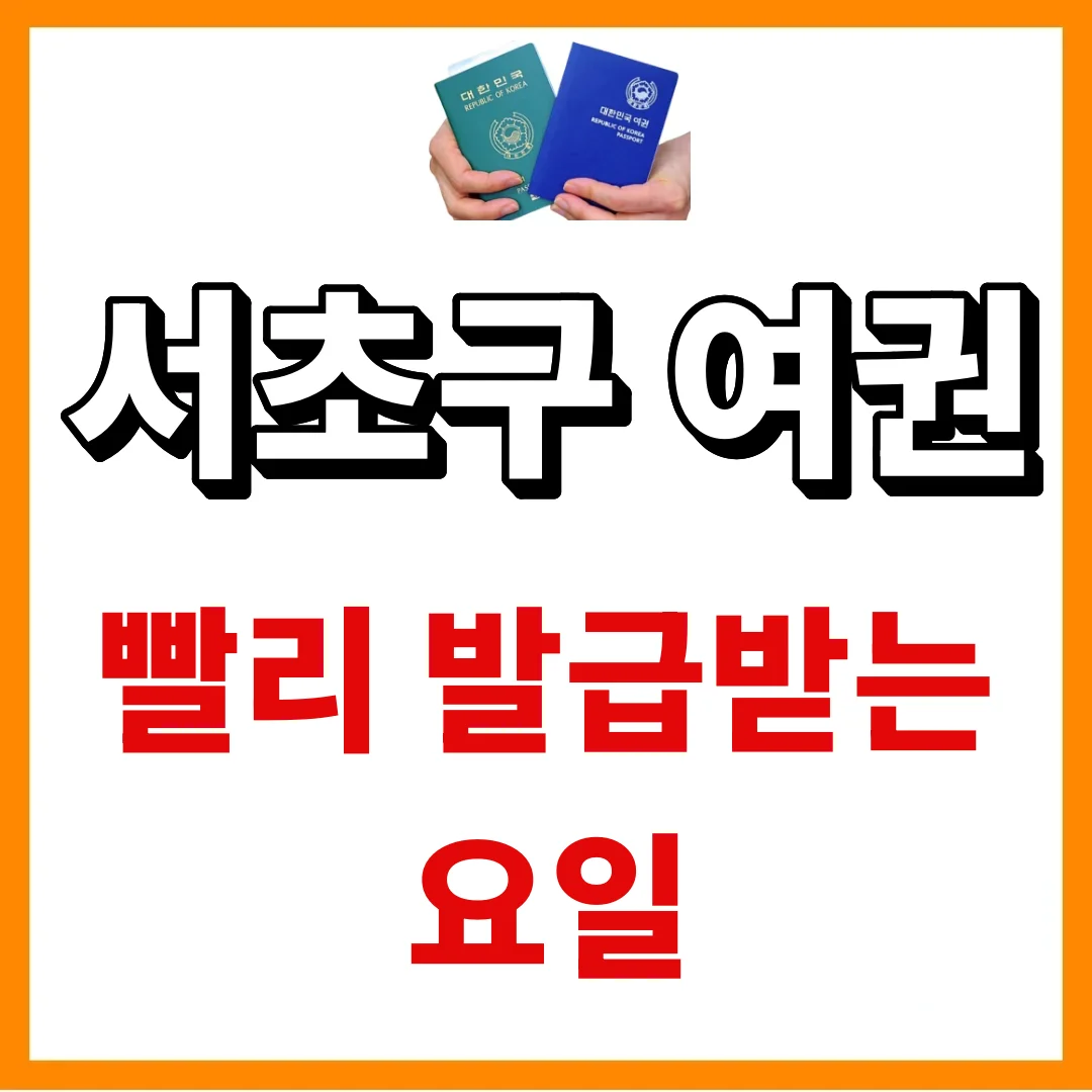 서초구청 여권, 월요일과 금요일만 피해도 대기시간이 줄어듭니다