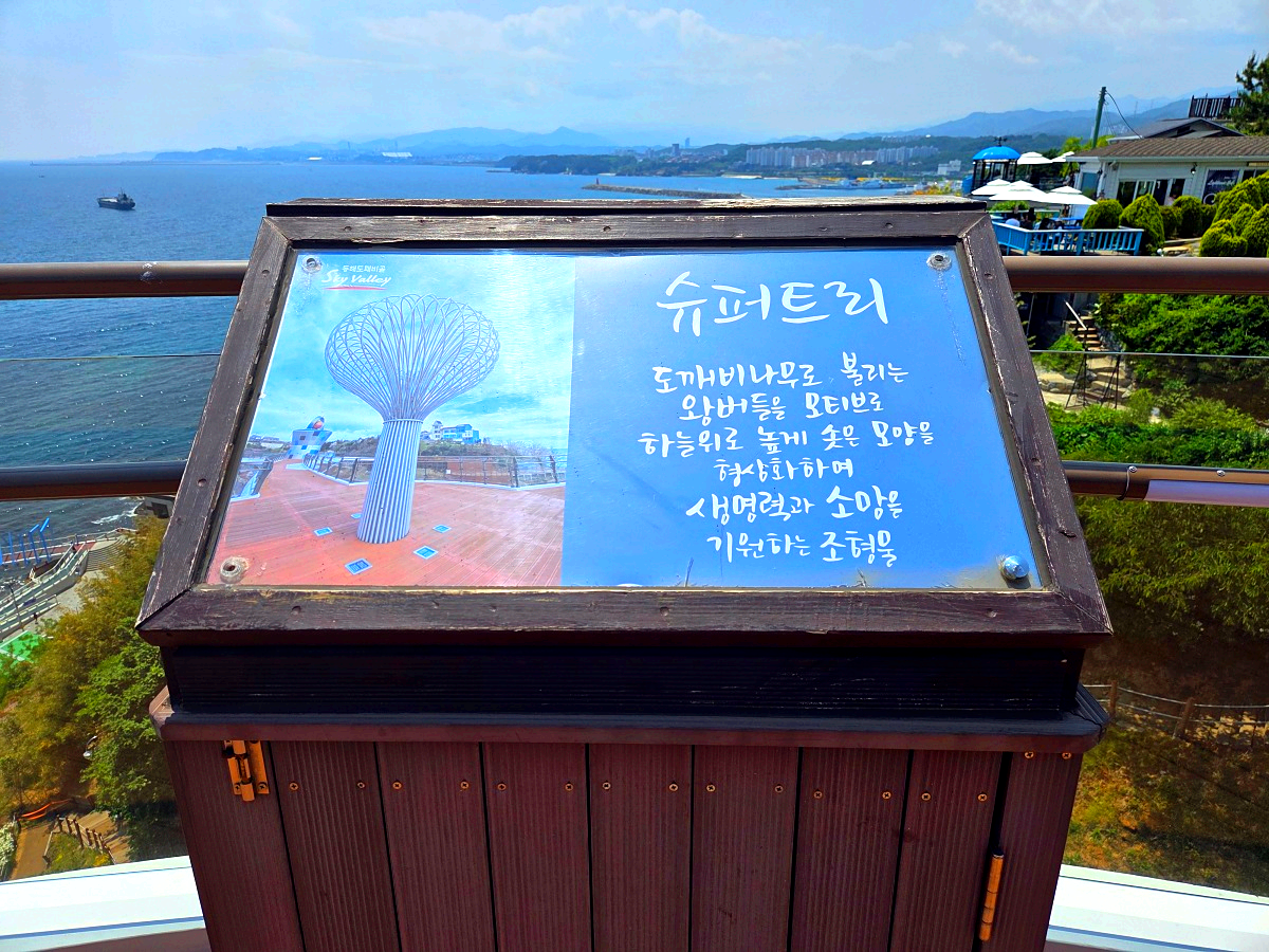 동해 묵호 가볼만한곳 도째비골 스카이밸리 총정리|입장료·전망·레포츠·스탬프투어