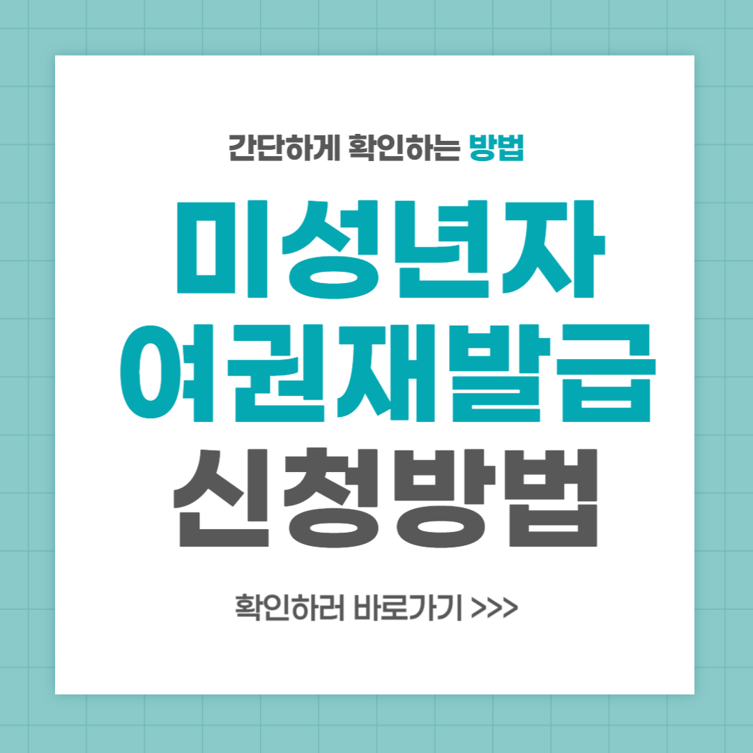 미성년자 여권재발급 갱신 준비물 신청서류 비용