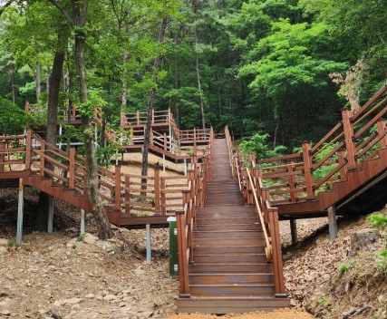 숲나들e 무봉산 자연휴양림 국내 여행지 추천 관련사진