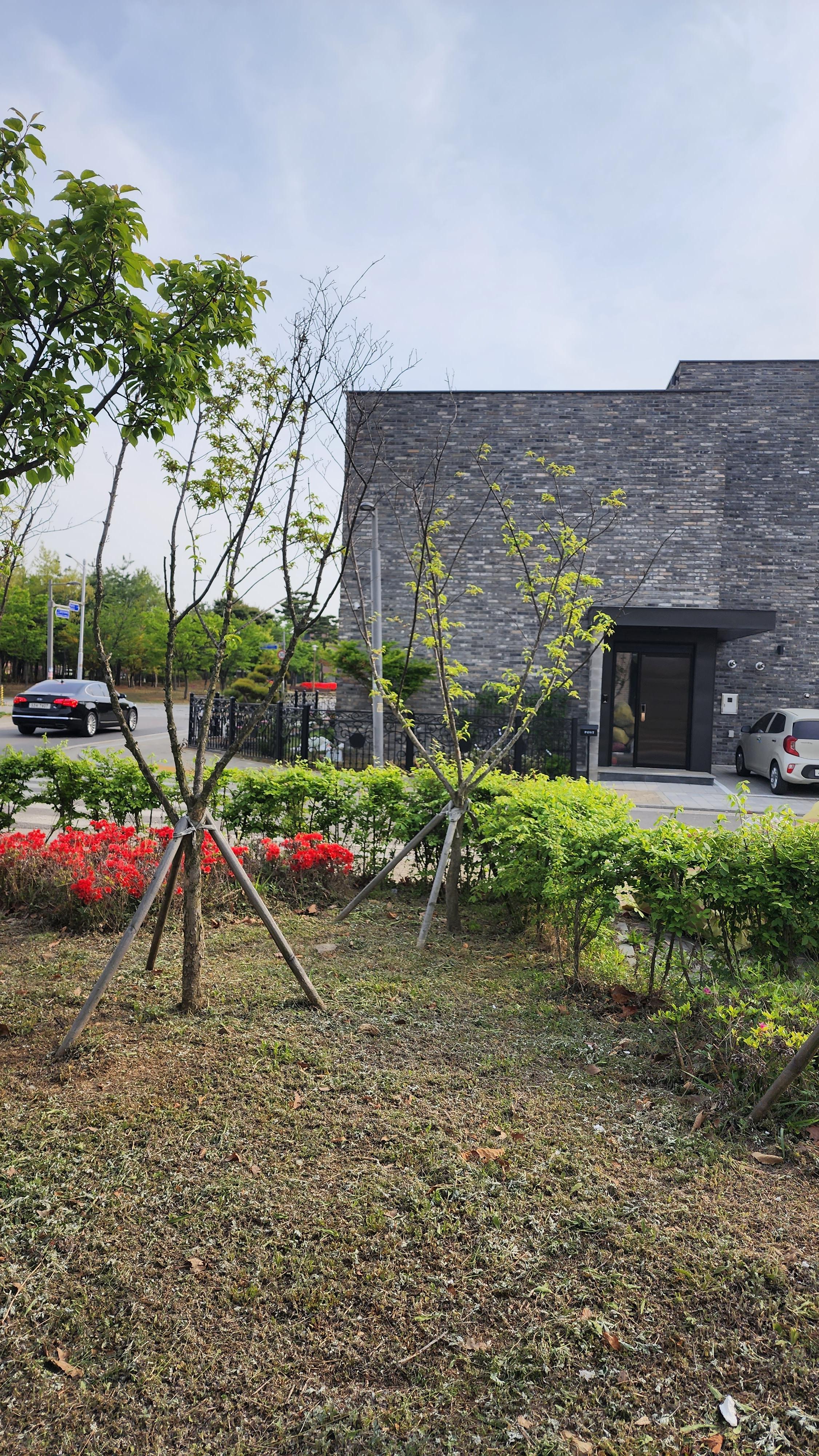 집 앞에 방치되어 있는 소녹지의 모습