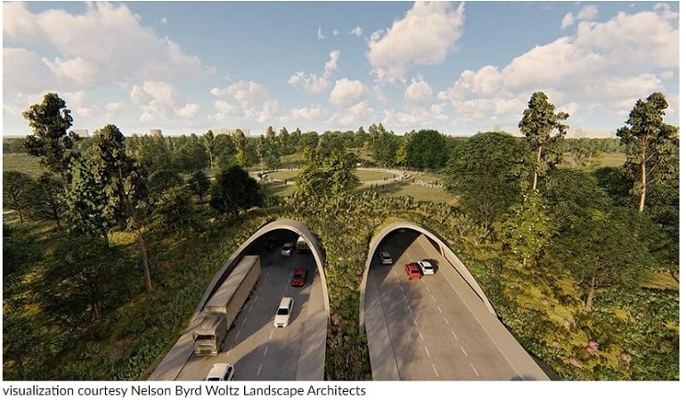 올 12월 개장 휴스턴 야생 휴양 공원 메모리얼 파크 VIDEO: Houston is cloaking a six-lane highway in a 'land bridge' prairie for wildlife