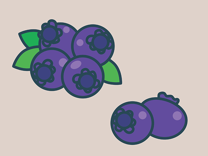 신선한-블루베리