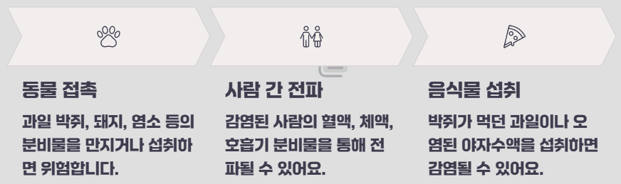 니파 바이러스 증상