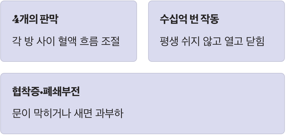 우리 심장 속 4개의 쉼 없는 문지기