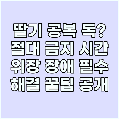 딸기 공복 섭취는 위험? 위장 장애 ..