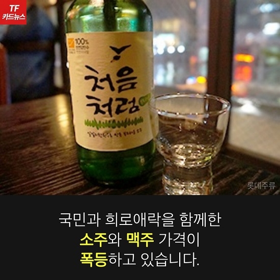 마트에 진열된 다양한 주류와 가격표