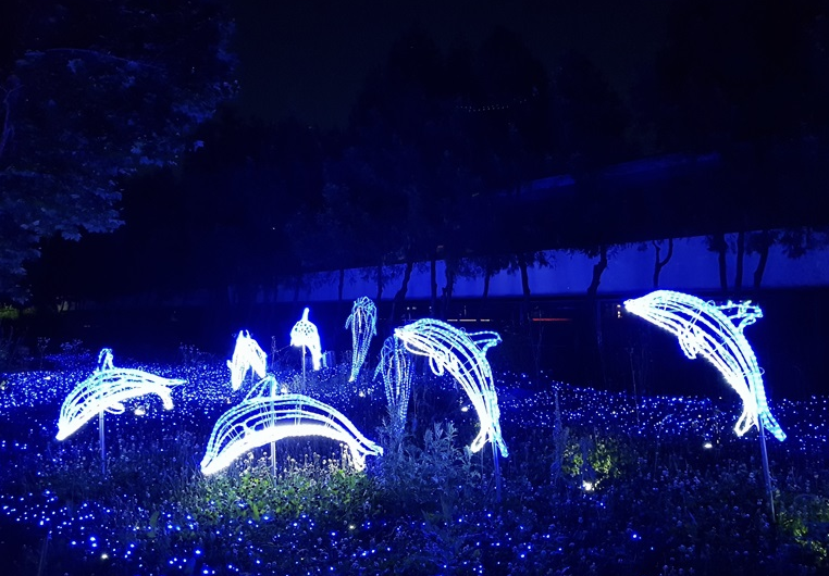 노원 불빛정원 이미지